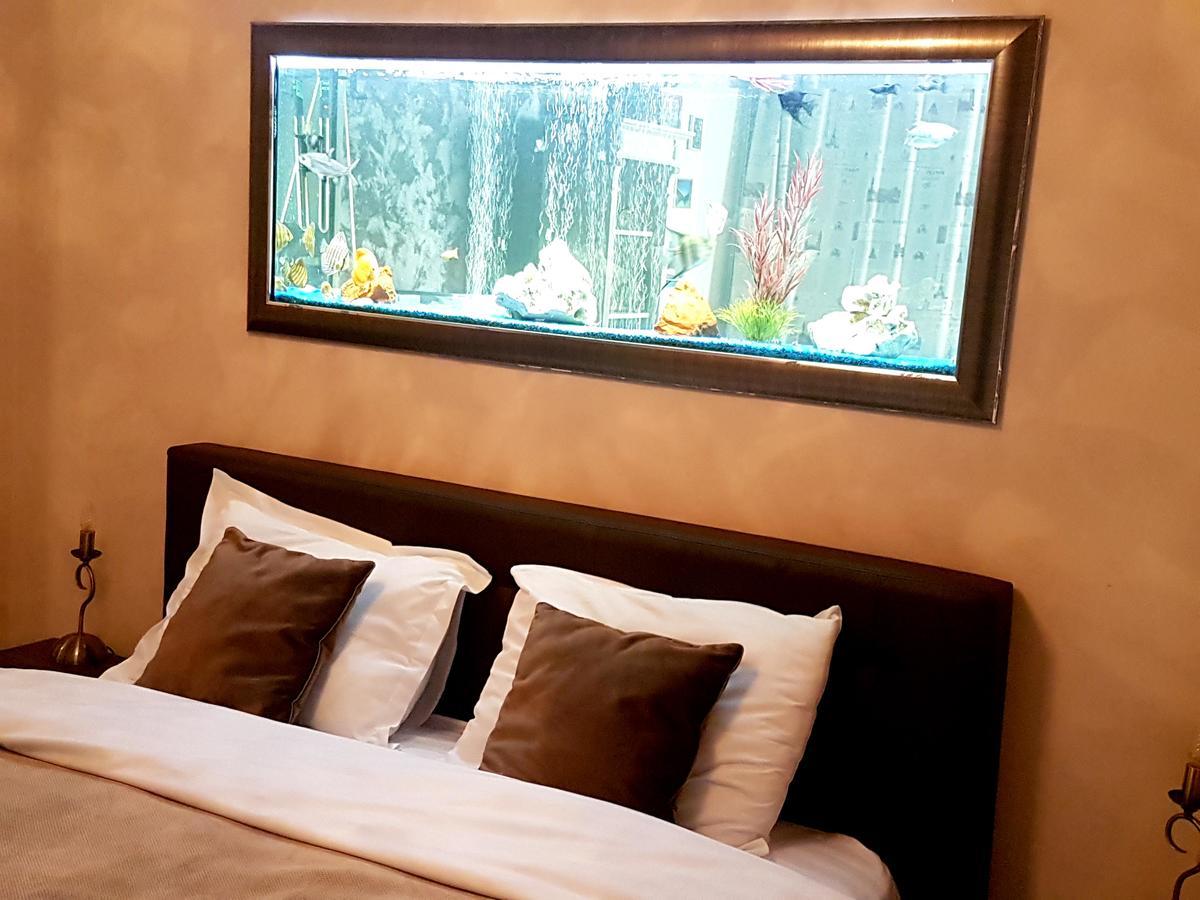 Classic Apartment 布拉索夫 外观 照片