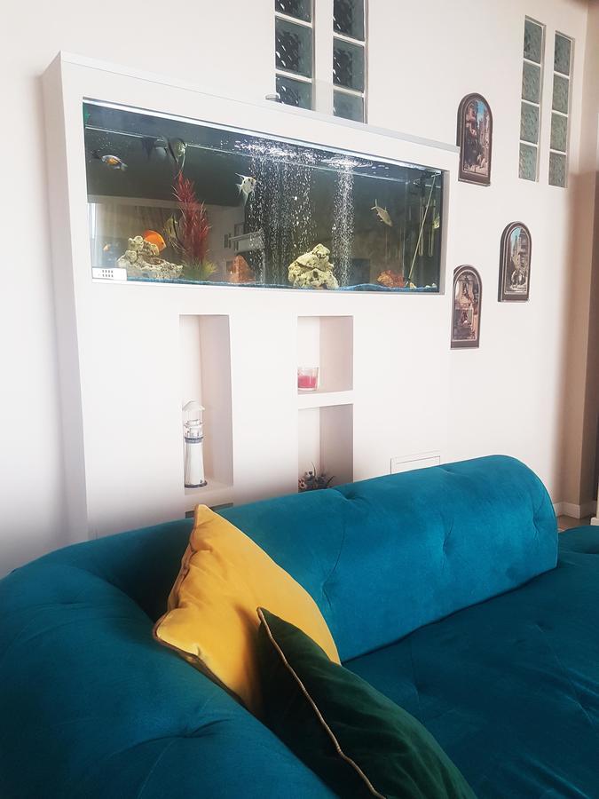 Classic Apartment 布拉索夫 外观 照片